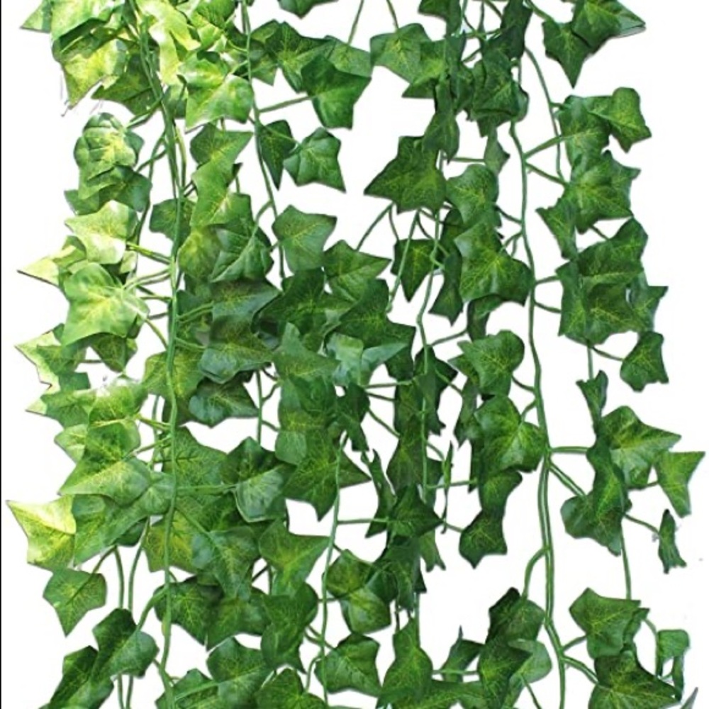 Urban outfitter vine room decor